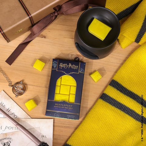 Slytherin™ & Hufflepuff™ House Set Slytherin™ & Hufflepuff™ House Set