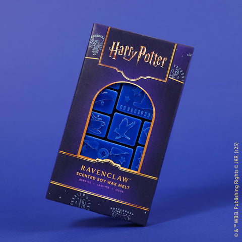 GRYFFINDOR™ &  RAVENCLAW™ House Set