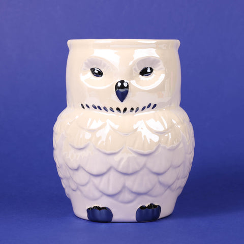 Iridescent Owl