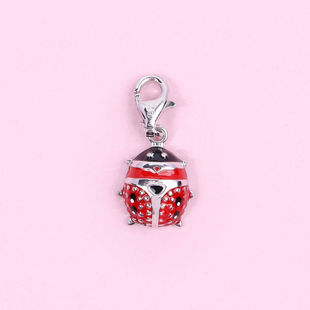 Sterling Silver Charm